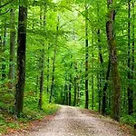 Les Woodies Nyaraló