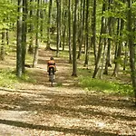 Les Woodies Xertigny