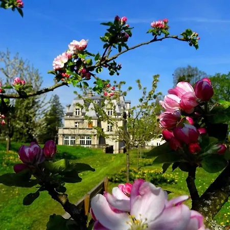 Les Woodies 別荘 Xertigny