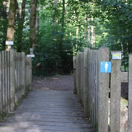 Les Woodies * Xertigny