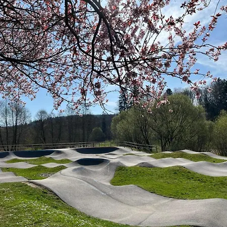 Prázdninový dům Les Woodies