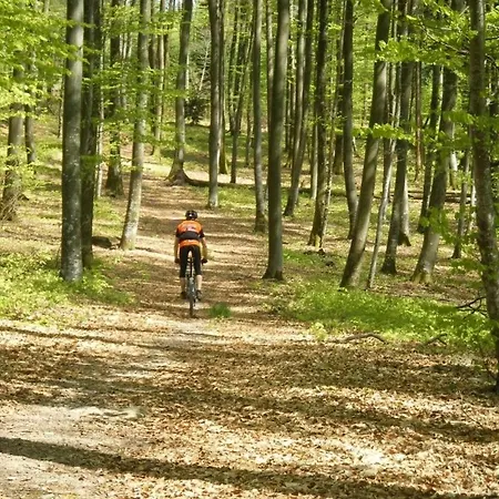 Les Woodies Xertigny