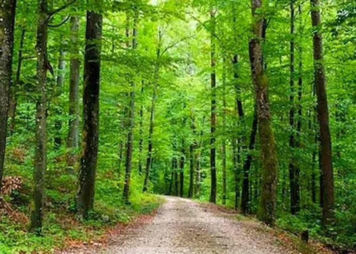 乐斯沃迪度假屋 度假居