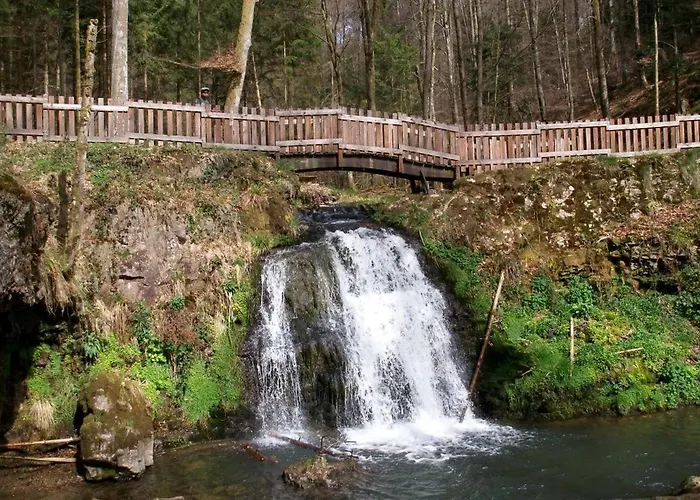 Дом отдыха Les Woodies