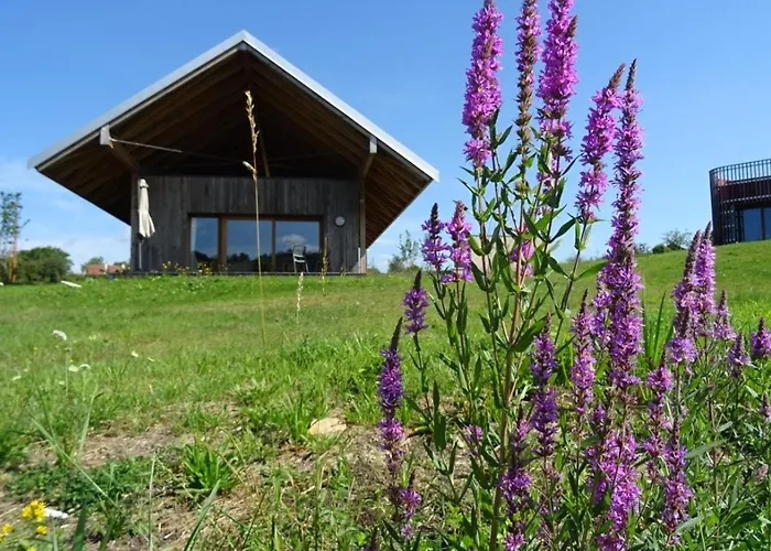 Les Woodies Prázdninový dům Xertigny