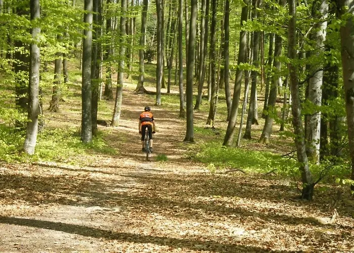 Les Woodies Xertigny